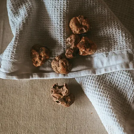 Konoba ベッド・アンド・ブレックファスト